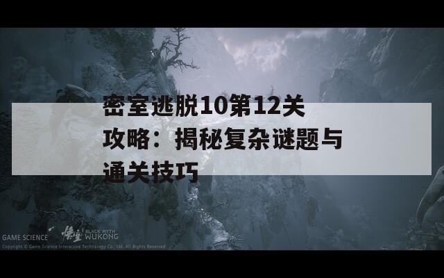 密室逃脱10第12关攻略：揭秘复杂谜题与通关技巧