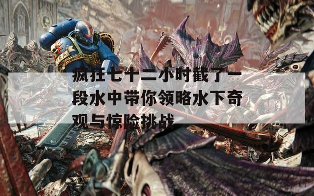 疯狂七十二小时截了一段水中带你领略水下奇观与惊险挑战