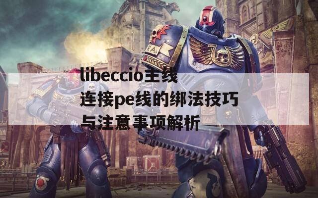 libeccio主线连接pe线的绑法技巧与注意事项解析