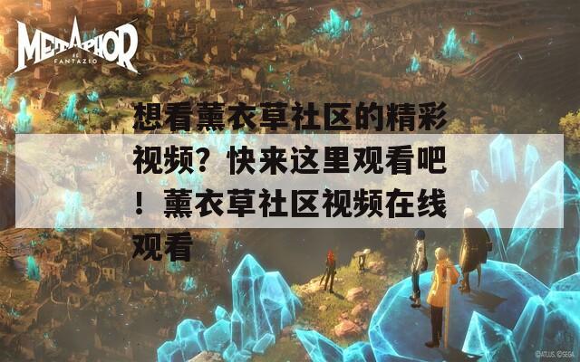 想看薰衣草社区的精彩视频？快来这里观看吧！薰衣草社区视频在线观看