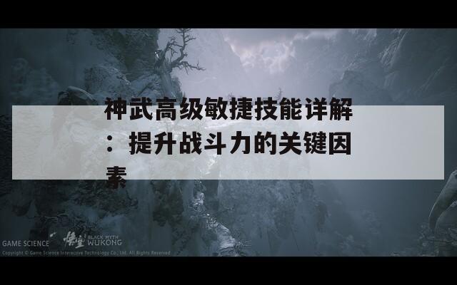 神武高级敏捷技能详解：提升战斗力的关键因素